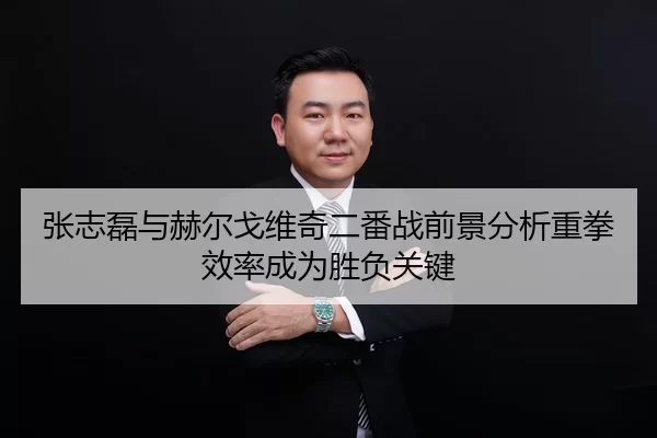 张志磊与赫尔戈维奇二番战前景分析重拳效率成为胜负关键