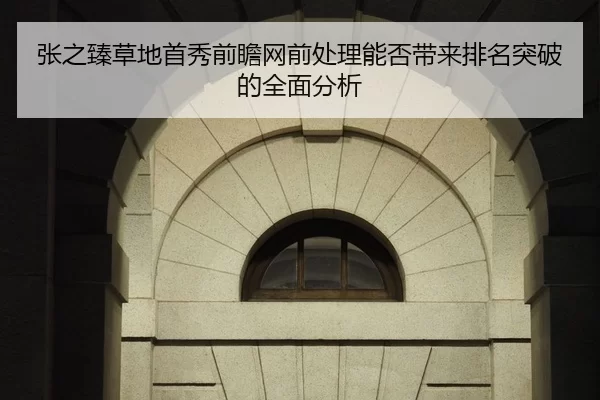 张之臻草地首秀前瞻网前处理能否带来排名突破的全面分析